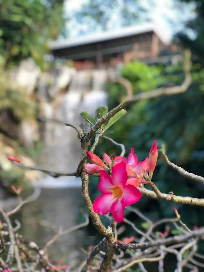 Jolie Petite Villa Sur Une Presqu'Ile Le Gosier  0*, Le Gosier (Grande-Terre) Guadeloupe