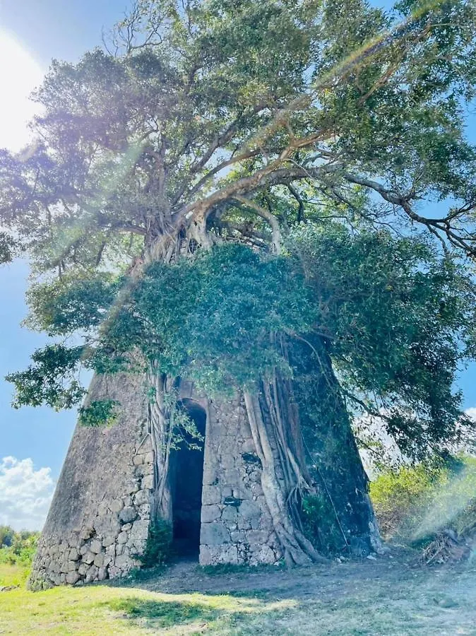 Jolie petite Villa sur une presqu’île Le Gosier   Le Gosier (Grande-Terre)