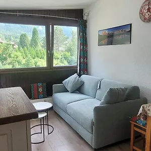 Plein Sud Vue Mont Blanc , Chamonix France